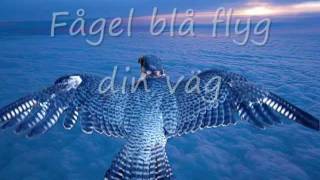 Video thumbnail of "Flyg din väg fågel blå"