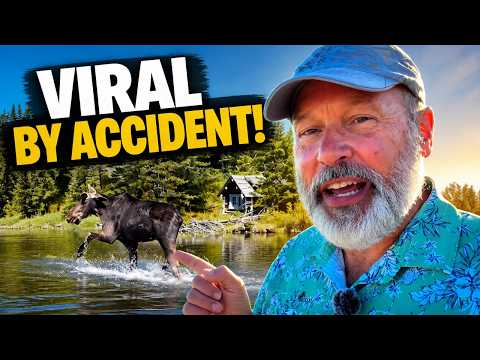 Island Park Wildlife: Is This the Most Viral Moose Sighting Ever?
