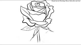 rose flower line drawing sketch easy draw