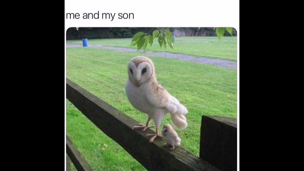 ward room 305 (slowed)