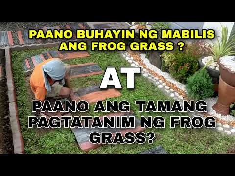 Video: Damo Para sa Sandy Soil: Paano Magtanim ng Lawn sa Sandy Soil