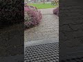 Spring Hail Is Here