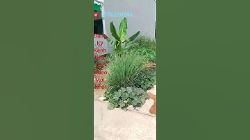 đất thổ cư sổ hồng riêng tân kim cần giuộc sổ đẹp 4m x 27m |bds cần giuộc long an