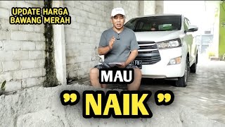 Download Lagu MAU NAIK | UPDATE HARGA BAWANG MERAH BJM CHANNEL  MP3 Download Lagu MAU NAIK | UPDATE HARGA BAWANG MERAH BJM CHANNEL  MP3