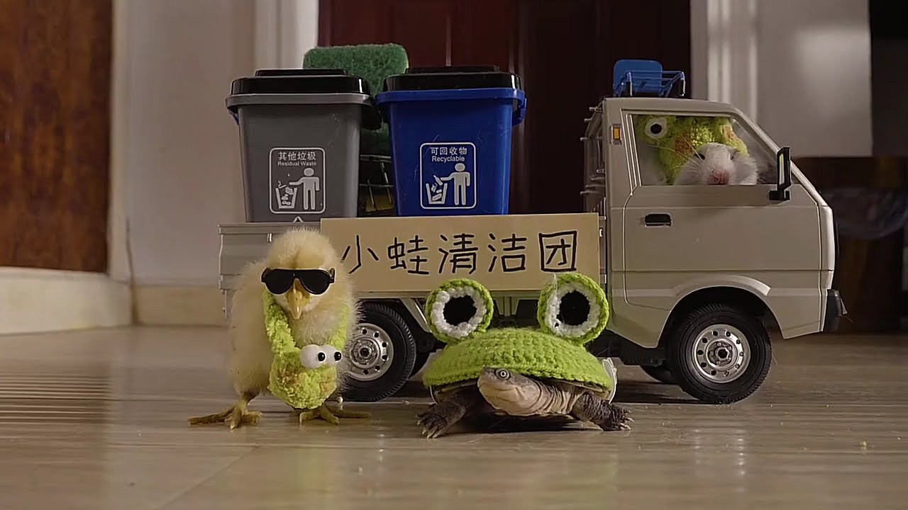 CAT STORY || FUNNY CAT AND MOUSE ||CHICKEN, TURTLE, CAT AND MOUSE || SHORTFILM 