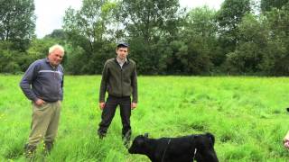 Farmers Apprentice 2014 - William Hinton