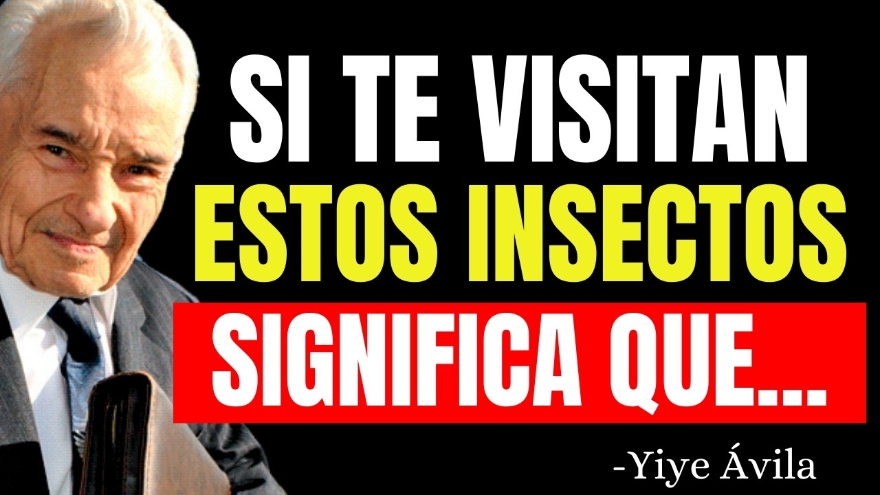 ¿Sabías que los INSECTOS que APARECEN en Tu CASA Tienen Significado Espiritual? - Yiye Ávila