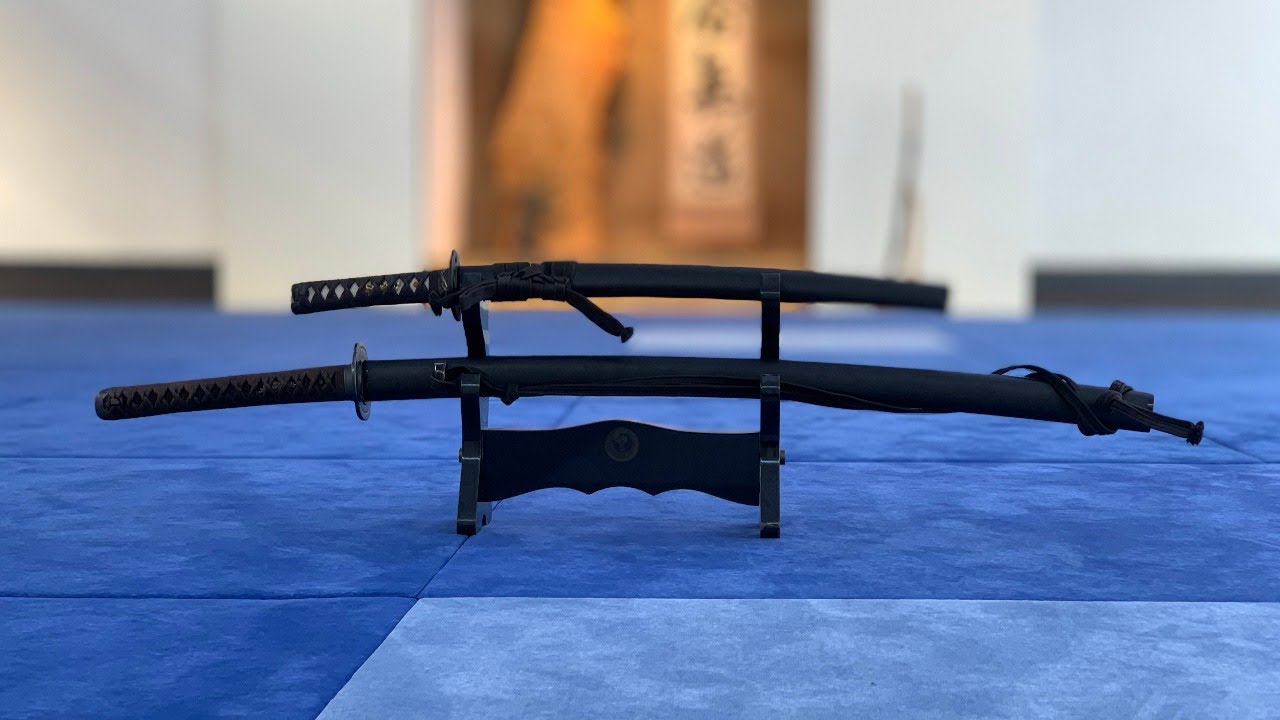 kenjutsu online training #6
