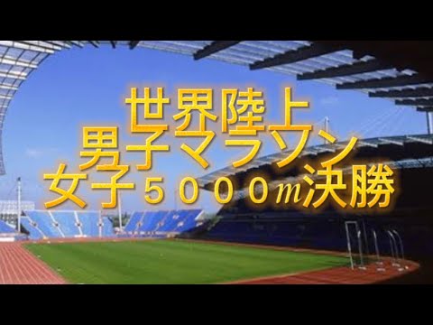 【感想】 男子マラソン 山下一貴 女子5000m決勝 田中希実 世界陸上 world athletics ハンガリー ブダペスト 【general conversation in Japan 】