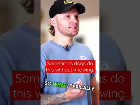 How to STOP your dog from whining from anxiety 😦