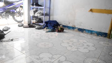 mô hình robot tự cân bằng + tránh vật cản