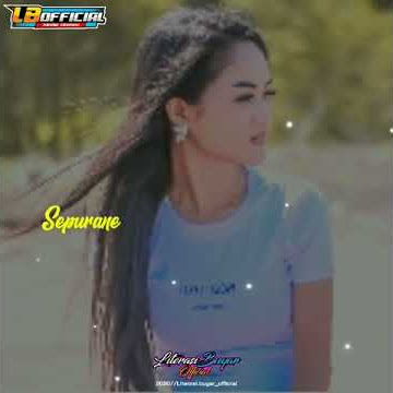 Dj Bahagia karo liyane - Safira Inema - sepurane ra ono niatan ninggalke kue ( story wa dj santuy )