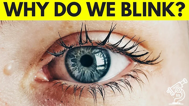 Why Do We Blink Our Eyes?