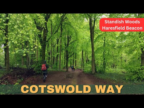 Cotswold Way walk, Standish Wood and Haresfield Beacon