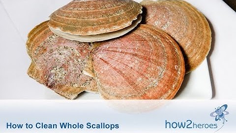 How to Clean Whole Scallops