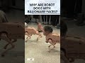 Beeple’s Robotic Dogs Featuring Musk, Zuckerberg &amp; Picasso Go Viral in Berlin | N18G | CNBC TV18