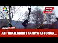 Ayıdan kaçtı ama... | Show Arşiv Haber 4.2.2016