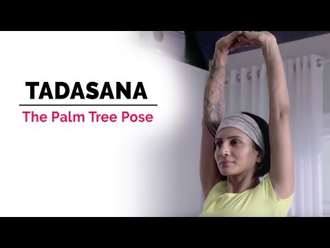 Tadasana Yoga | Palm Tree Pose | Steps | Benefits | Yogic Fitness