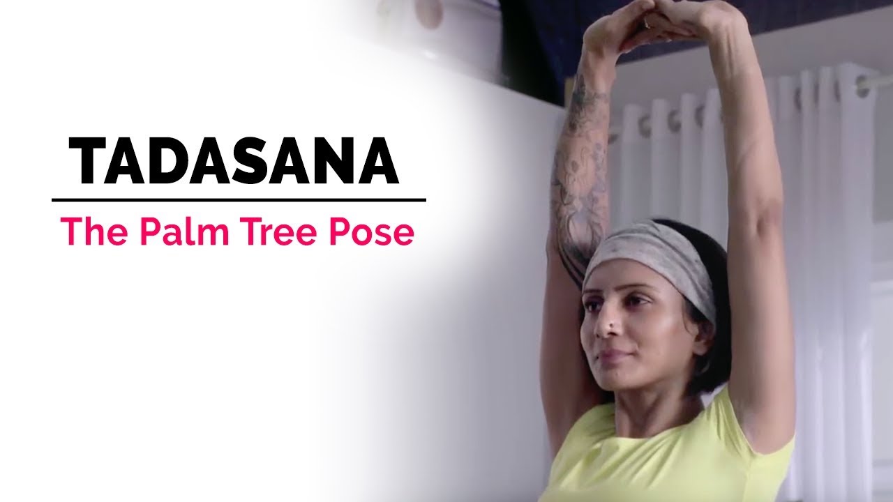 Yoga Tree Pose Step-by-Step Instructions (teacher made)