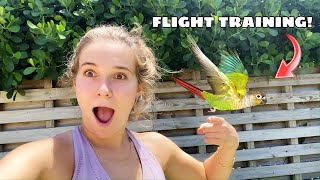 FLIGHT TRAINING WITH MY BABY BIRD! HOW DID IT GO?!