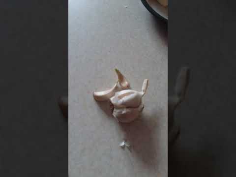 Чеснок помогает от гемороя если чешется попа проход в попе сьеште чесночок