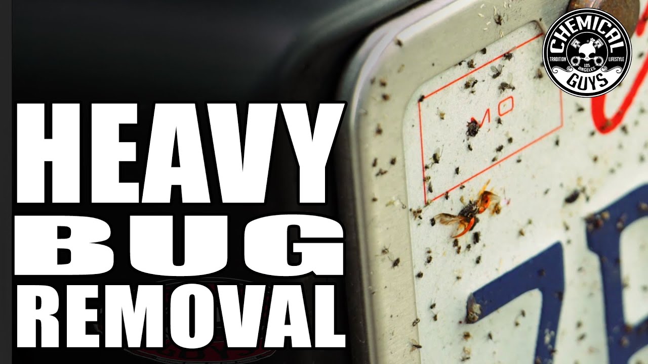 How To Remove Dead Bugs From A Car Chemical Guys Bug And Tar Heavy