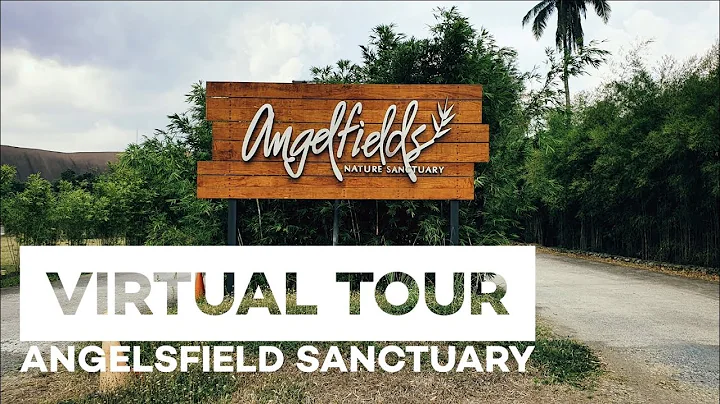 Virtual Tour - Angelfields Nature Sanctuary (4K)