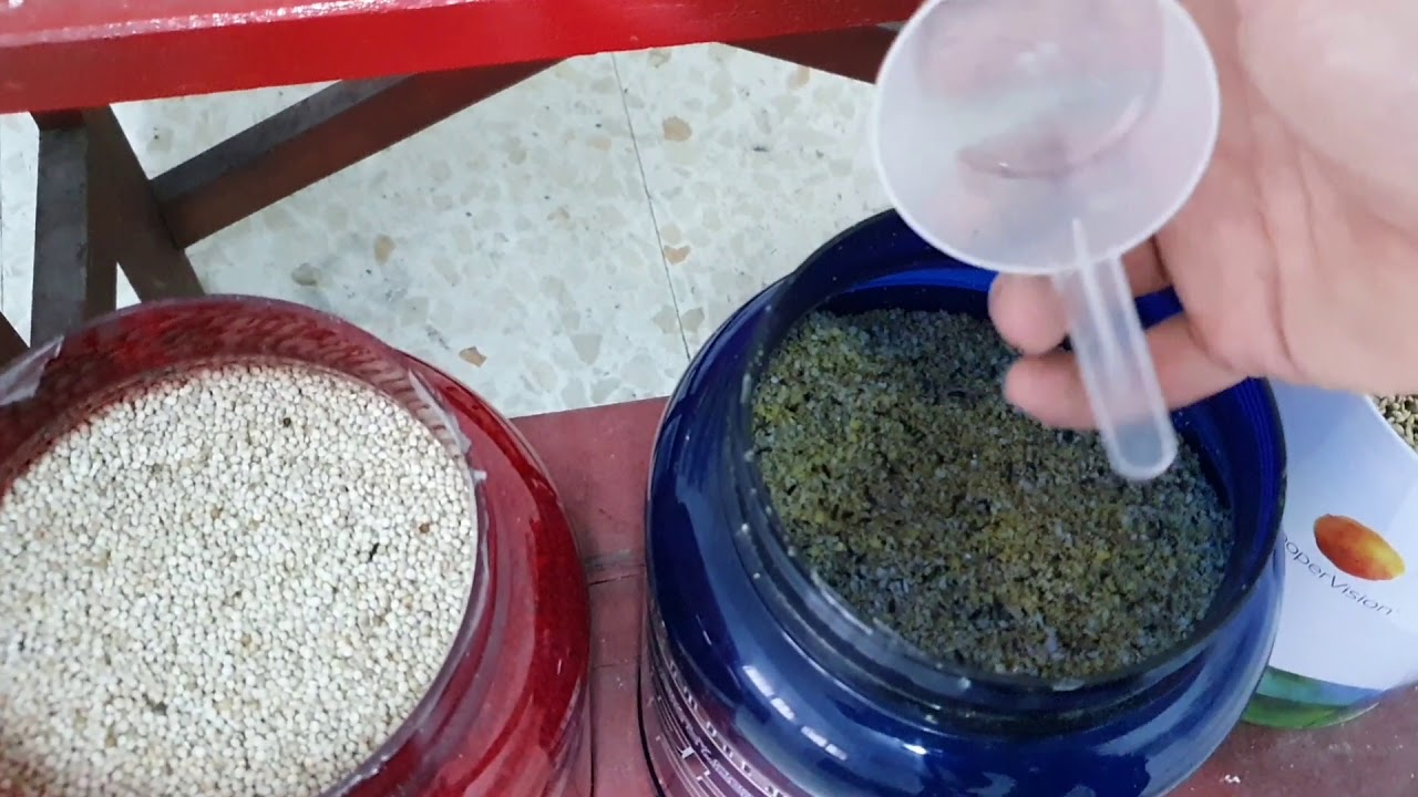 Uso Fertivit para preparar la cria y vinagre de manzana, enseño la mezcla de semillas que yo uso