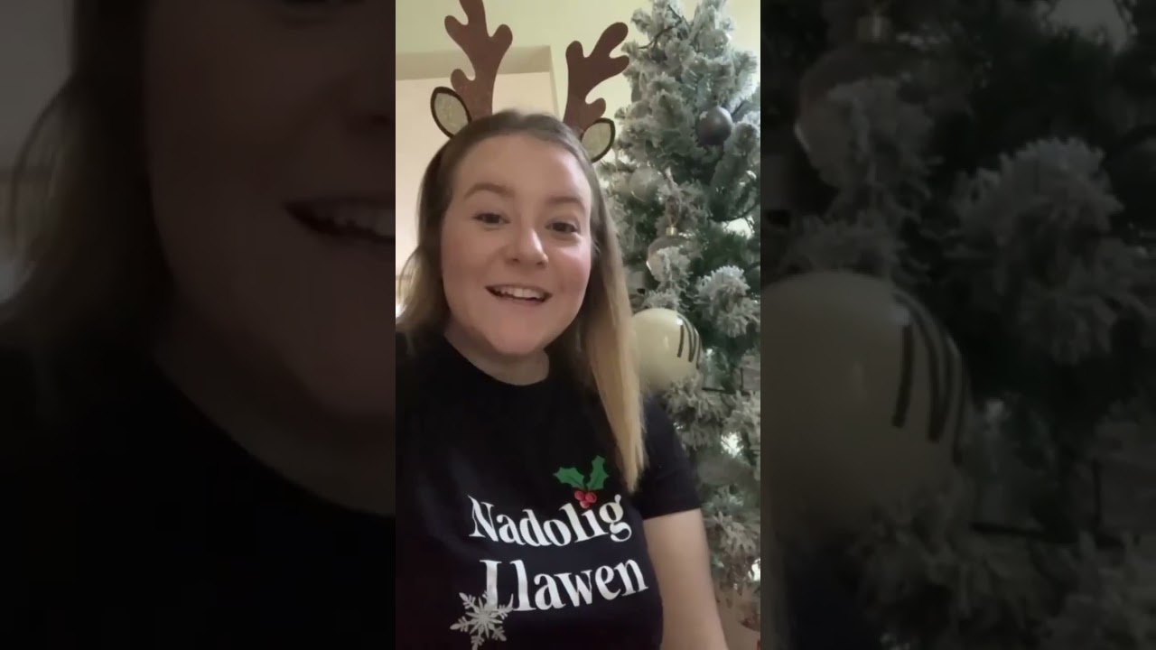 nadolig llawen - NDNA Cymru Welsh language