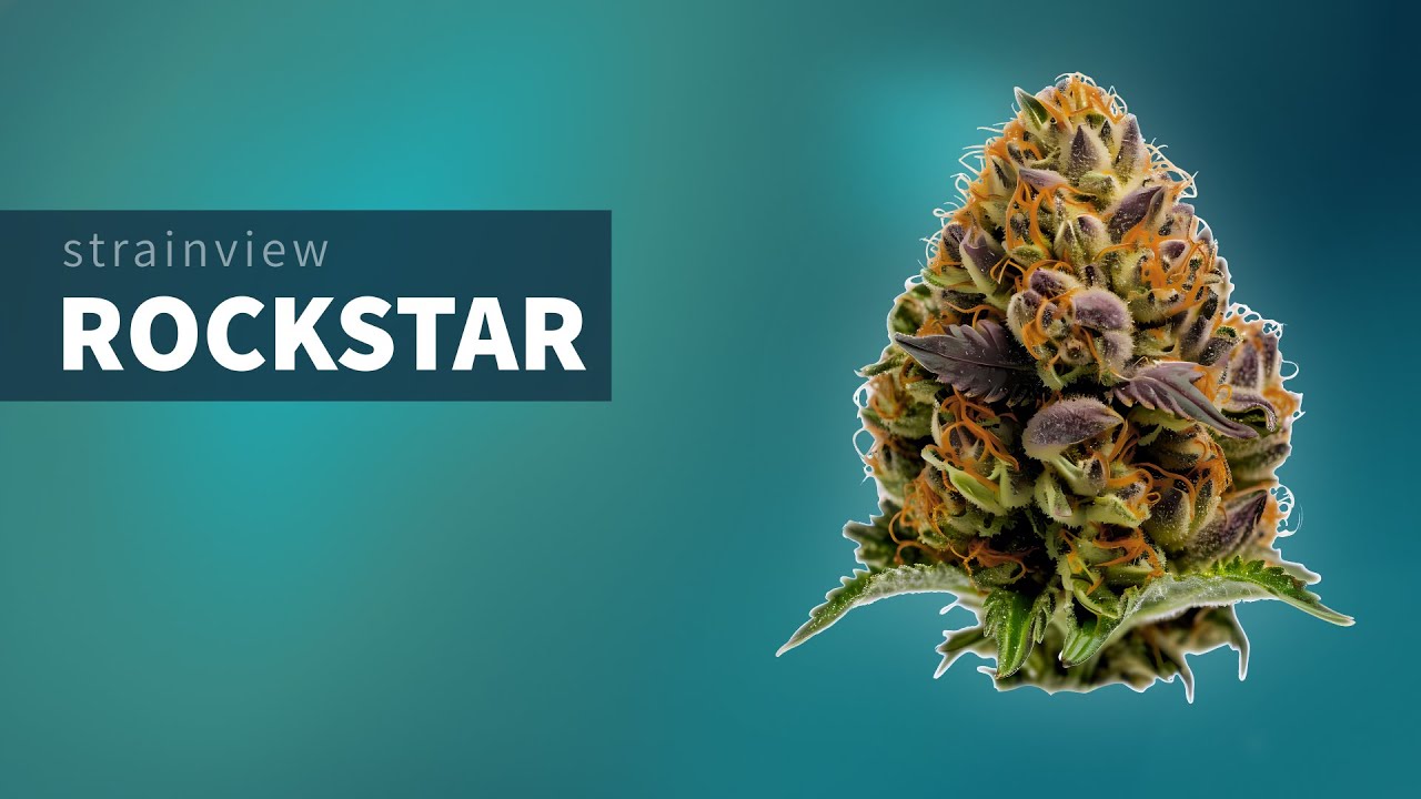 Rockstar - StrainView