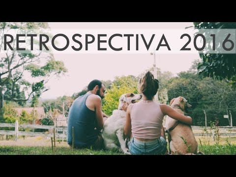 RESTROSPECTIVA 2016 | por Isa Ribeiro, Barba, Lucy e Ringo  - Na nossa vida