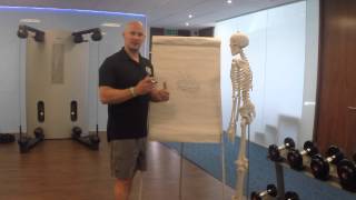 Core Stability 2: The role of the abdominal wall