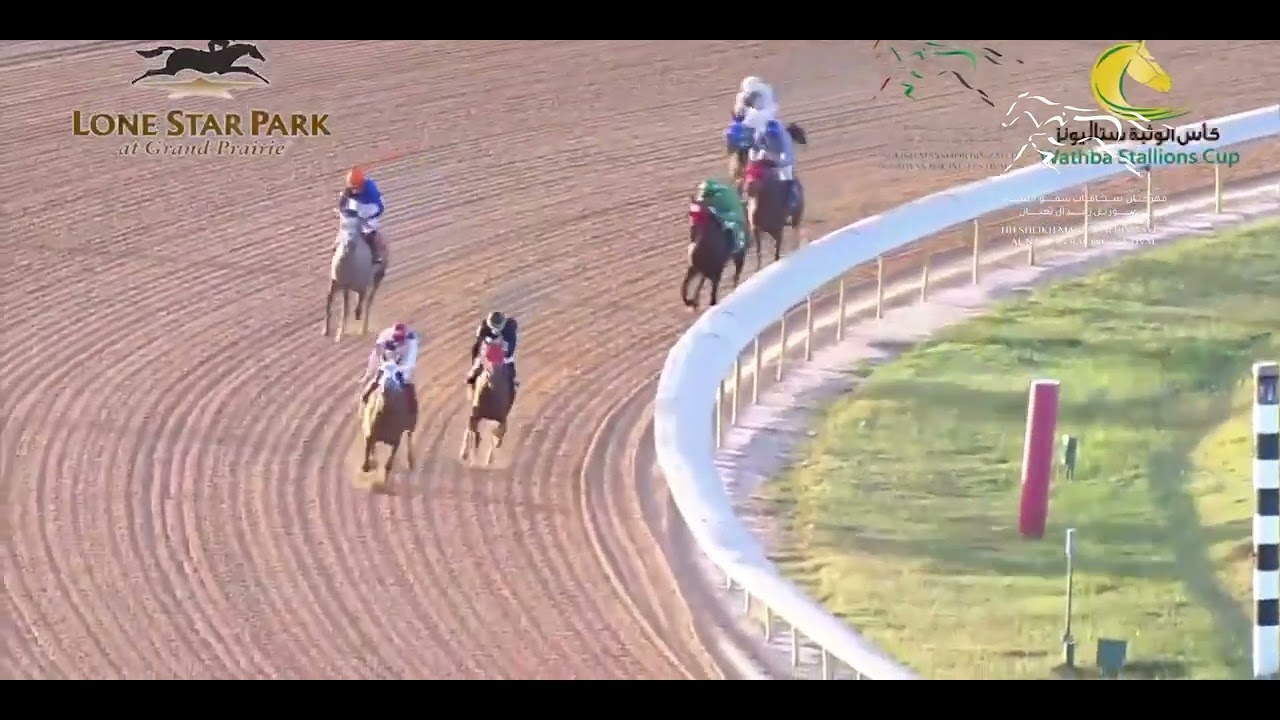 WATHBA STALLIONS CUP - LONE STAR PARK RACECOURSE | 17/10/2024