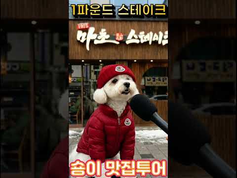 "마초 스테이크 먹으러간 숑이" #마초스테이크#1파운드 스테이
