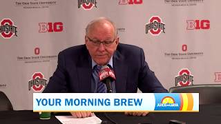 Celebrity Juice and Java | The Brew Profile