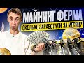 Б/У МАЙНИНГ ФЕРМА | СКОЛЬКО ПРИНОСИТ В МЕСЯЦ?