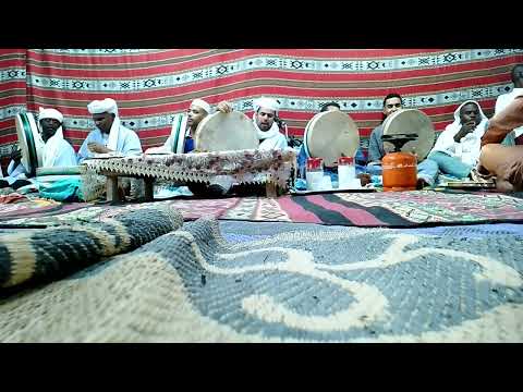 قصيدة الغزالة الشيخ عمر مصطفى