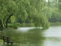 Heavy Rain & Thunder Sounds for Sleep – Powerful White Noise to Fall Asleep Instantly