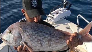 Ένα ωραίο ψάρεμα ο φάγκρος και οι στήρες!!