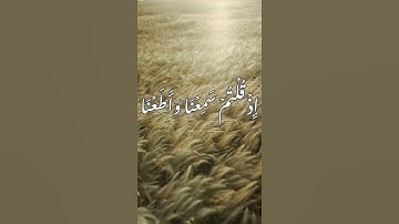 سورة المائدة - د/عادل أحمد زكي