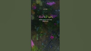 #قران_كريم #المصحف #المصحف #سورة #لقمان #اكسبلور #دويتو #الرحمن #طبيعة