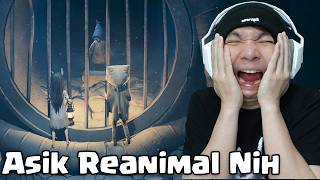 Perjalanan Si Karung Dan Si Bunny - Reanimal Indonesia