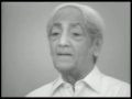 J. Krishnamurti - Brockwood Park 1977 - Public Talk 3 - What is at the very root of sorrow?