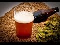 Варка Бельгийского пшеничного пива (Brew wheat beer)