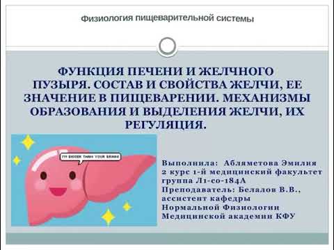Печень и желчный пузырь. Желчь