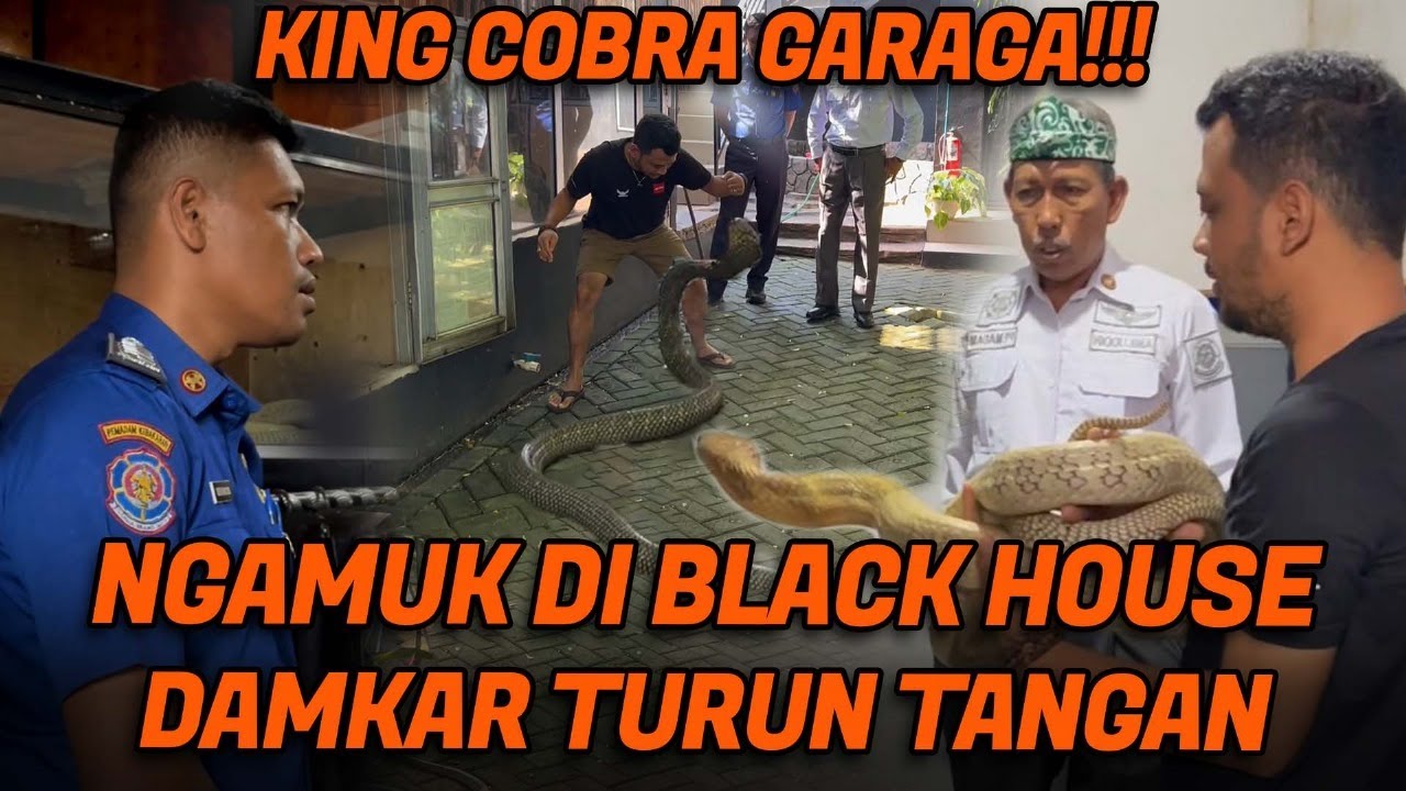LEPAS KENDALI!! DAMKAR DATANG LANGSUNG DARI BONTANG KHUSUS BUAT TANGANI GARAGA