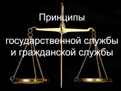 Принципы государственной службы и гражданской службы (сравнение)