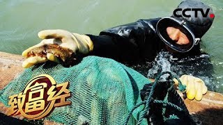 《致富经》 20180524 一个网兜里藏着秘密 他要招来2000万 | CCTV农业