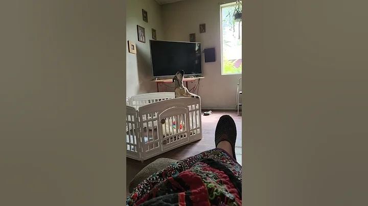 Penny; where's my mom.