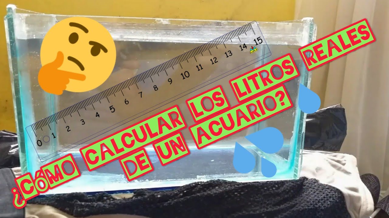 Cómo calcular los litros de un ACUARIO rectangular o cuadrado - YouTube